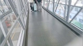 一个人游轮失恋了
