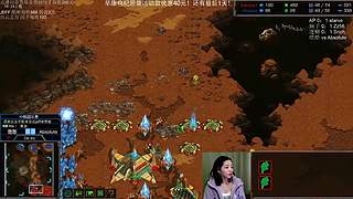 星际争霸菜鸟培训基地