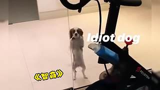 唉呀妈呀！笑抽抽了！