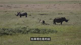 老高与小茉的睡前科普（持续更新中）