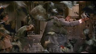 周队长电影解说