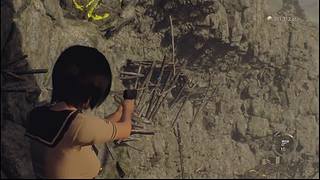 播个王阿姨的DLC