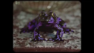 Rabbit每日爆料的直播间