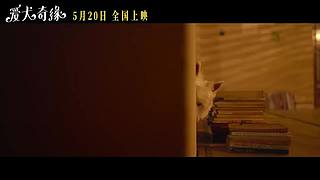预告资讯抢先看
