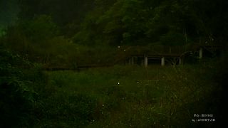 一起看英仙座流星雨