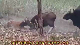 带你了解你不知道知识