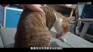 回归玩家随便逛逛