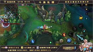 王者辅助  有问必答