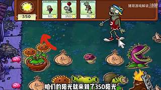 猪哥游戏解说的直播间