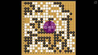 电脑AI围棋自战：人工智能的黑白风云秀