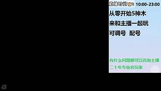 梦幻高低投入指导