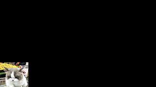今天努力不掉段 喵不可妍