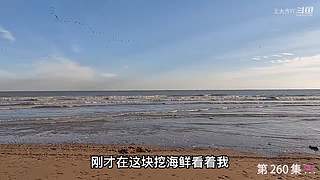 大齐赶海，又是出大货的一天