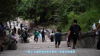 米奇de日常