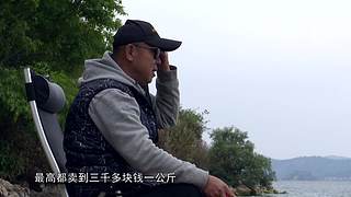 《游钓中国》第十季同步更新中