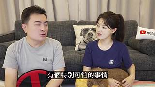 伴你入梦的娱乐科普