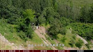 一鹿有车的直播间