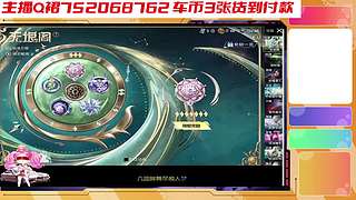 和平车币 入口返厂皮肤