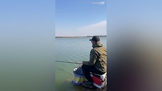 亮gnailux的直播间