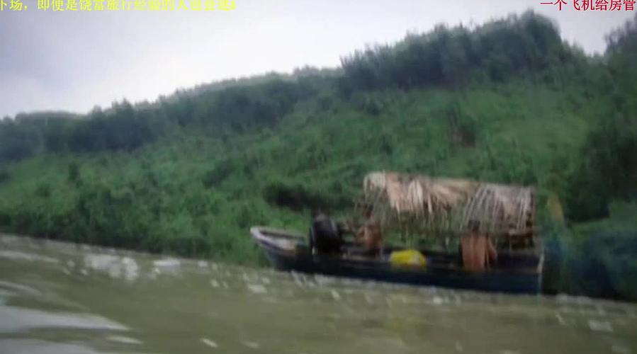 荒野求生，带大家体验不一样的生活
