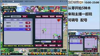 梦幻高低投入指导