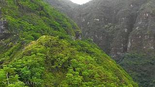 观景，听风