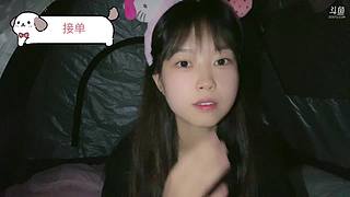 重生之逃离园区