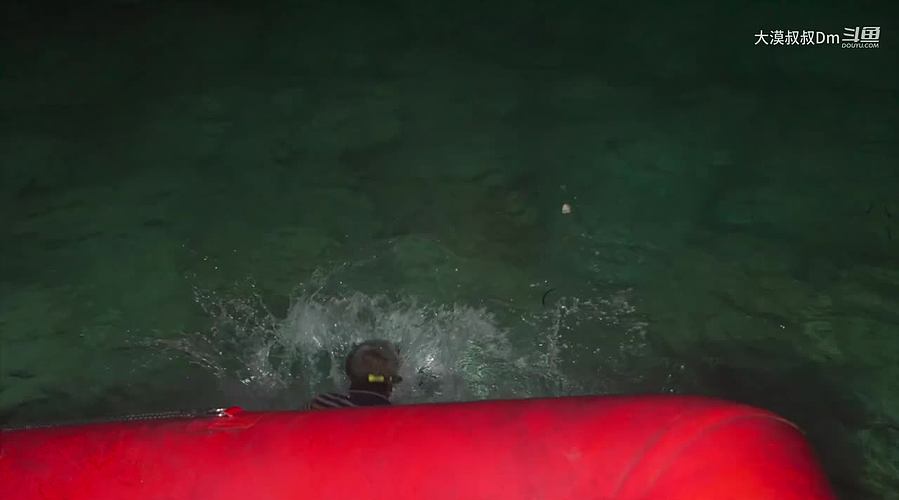 你的海南军阀给你带来最地道的赶海