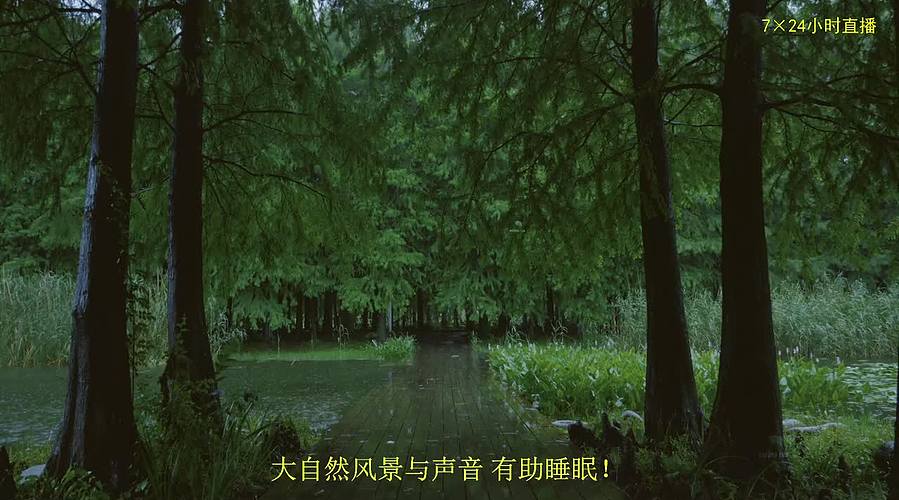 大自然的声音 治愈风景 帮助睡眠