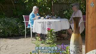 猫步走世界，萌宠24小时轮播