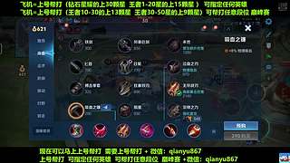 飞机帮打30颗星  国服后羿上号帮打