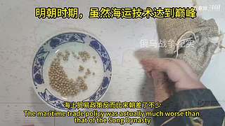 喜欢我的视频或想和我玩，请关注，打赏我哟