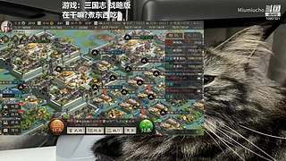 CS2熟悉熟悉官匹