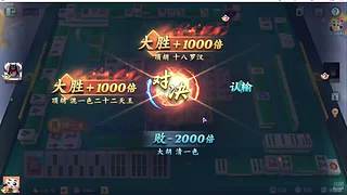 重生之菜鸟逆袭雀神之路