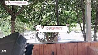 【非常757】让我成为你心里的糍粑