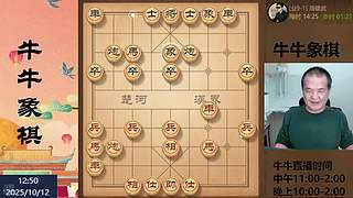 牛牛象棋直播中