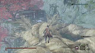 冰冷无情雨的直播间