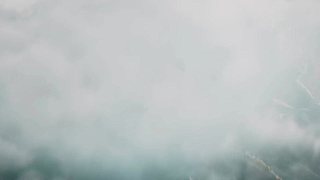 欢迎来到我的直播间 12665464