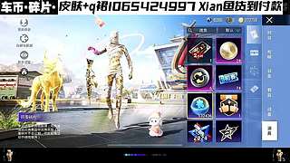 车币木乃伊和平入口购