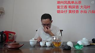 潮州凤凰单丛茶