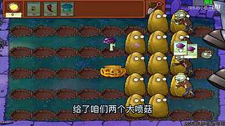 宝子们，开席了！