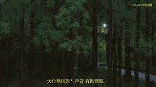 大自然的声音 治愈风景 帮助睡眠