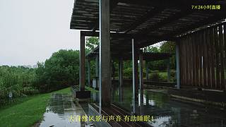 大自然的声音 治愈风景 帮助睡眠