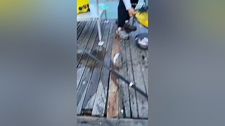 亮gnailux的直播间