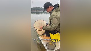 亮gnailux的直播间