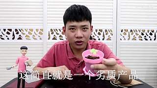 林大仙开箱试吃