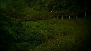 一起看英仙座流星雨