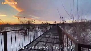 直接把狮子推下水！俄罗斯饲养员太勇敢了