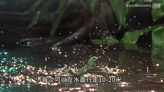【所长来了】打开宇宙的未知