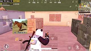 小奔奔解说的直播间